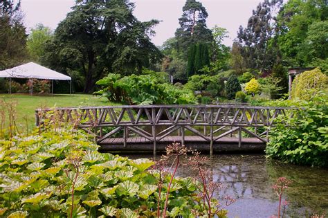 Cholmondeley Castle Gardens