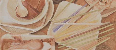 PE (Polyethylene) Plastic: An Overview Of Its Properties ... 