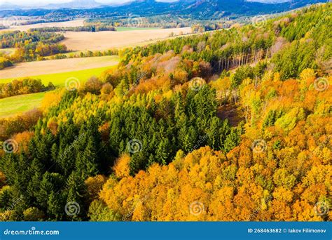 Autumn landscape stock photo. Image of life, yellow - 268463682