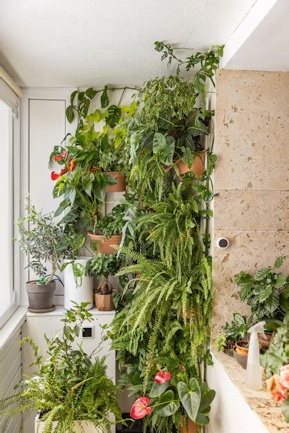 Premium Photo | Natural plants in the hanging pots