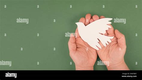 Holding A White Dove In The Hands Symbol Of Peace Paper Cut Out Copy