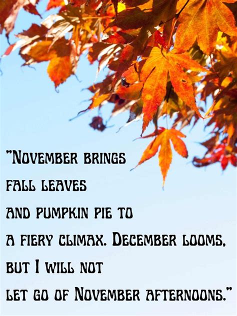 Ultimate Hello November Quotes to Embrace Fall - Darling Quote