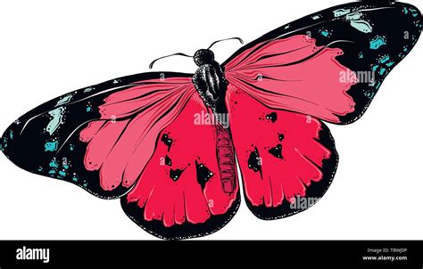 Hand drawn sketch of butterfly in color. Isolated on white background. Drawing for posters ...