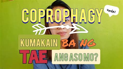 COPROPHAGY Kumakain Ba Ng Popo Ang Aso Mo VetLai YouTube