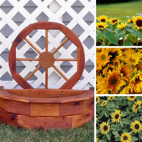 3 Garden Planter Ideas to Deck Out Your Deck - TIMBER TO TABLE