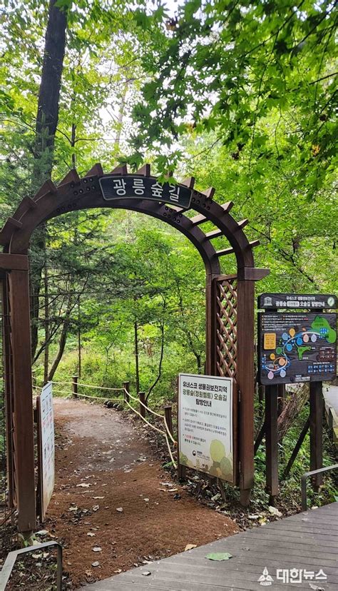 경기도 남양주 광릉숲축제 열려광릉숲 산책로 개방