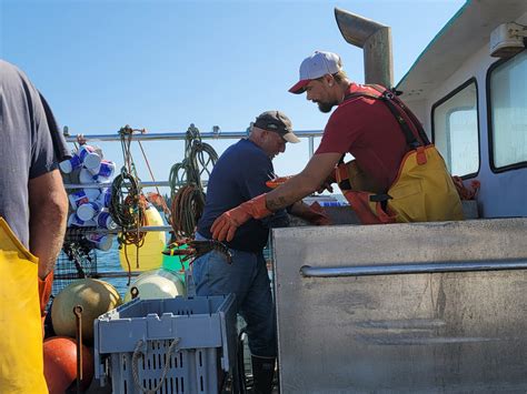 Maine Lobstering Union Secures Court Victory On Fishing Grounds