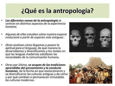 Que es la Antropología Brainly lat