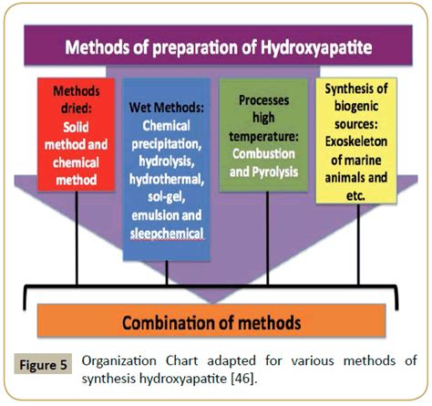 Biological Principles Of Nanostructured Hydroxyapatite Associated With