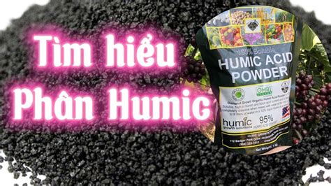 Ph N Humic L G T C D Ng C A Humic Acid V I T V C Y Tr Ng N Ng