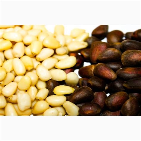 Кедровый орех, ядро кедрового ореха — Agro-Uzbekistan