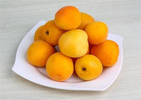 yellow apricot stock  images  backgrounds