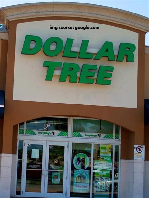 7 Best New Dollar Tree Items That Are Worth Every Penny Codeavail