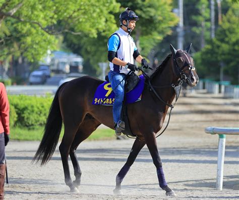 【注目馬動向】皐月賞2着馬タイトルホルダー 秋はセントライト記念から菊花賞へ Umatoku 馬トク