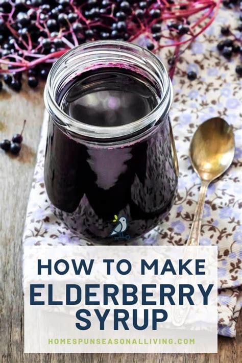 Easy Homemade Elderberry Recipes How To Cook Elderberries