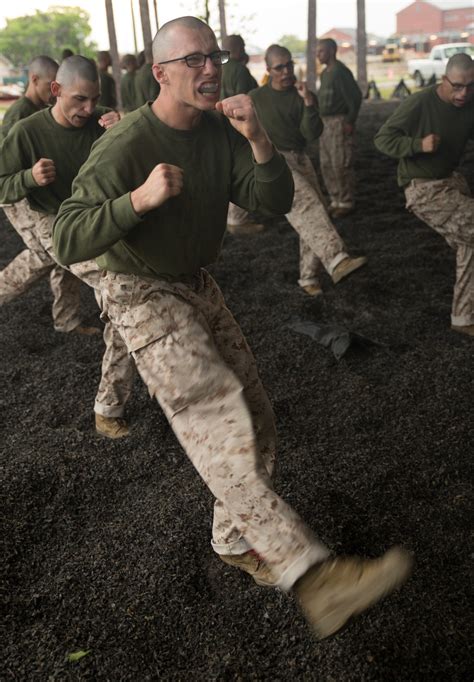 Dvids Images Photo Gallery Parris Island Recruits Tested On Marine