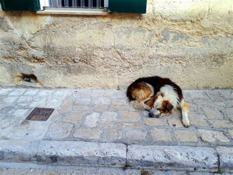 La Dolente Bellezza Di Matera La Citt Dei Sassi Sempre In Partenza