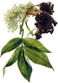 История создания чернил – Энциклопедия – orgprint.com