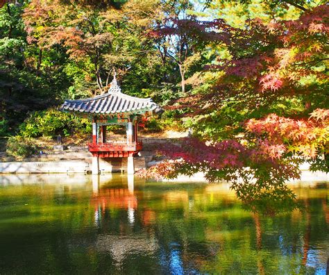 Autumn Foliage In Changdeokgung Palace Secret Garden and Bukchon Hanok ...