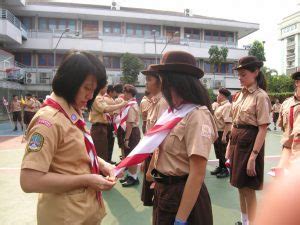 Pengertian Pramuka Sejarah Fungsi Tujuan Kepramukaan Metode