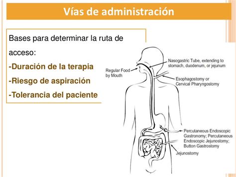 Nutrición enteral en el paciente quirúrgico