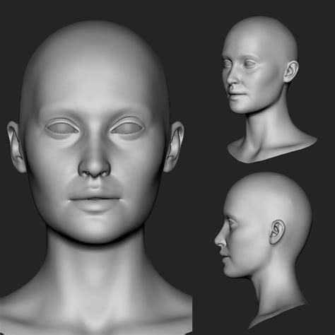 Face Reference 3d Model