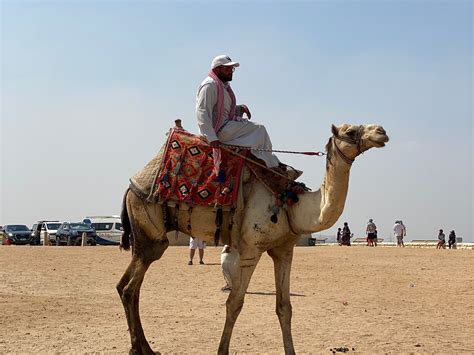 Cairo Private Day Tours (2026) - All You MUST Know Before You Go (with