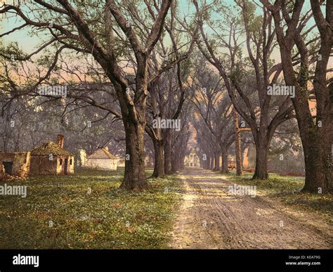 The Hermitage plantation, Savannah, Georgia, 1900 Stock Photo - Alamy