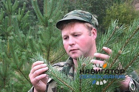 Лесник - где учиться, зарплата, преимущества профессии – “Навигатор ...
