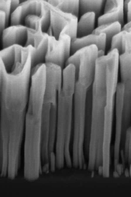 A Schemativ View Of The Nw Led Structure And B Sem Birds Eye View Download Scientific