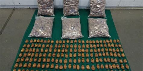 Hk Customs Seizes Suspected Smuggled Dried Abalone Worth About Hk