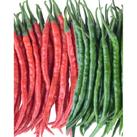 Chilli Hot Pepper F1 Hybrid Seeds Pack Of 30 Seeds