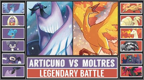 Articuno Vs Moltres Legendary Birds Pok Mon Battle Youtube