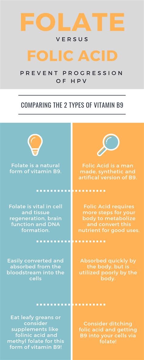 Folate, Folic Acid, & Their Role With HPV And Cancer | UCC Boulder