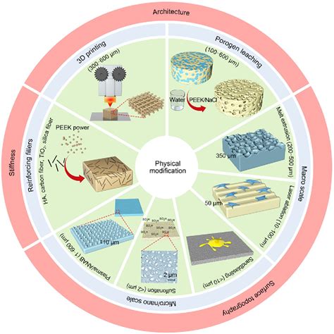 Figure From Modification Of Polyetheretherketone Peek Physical