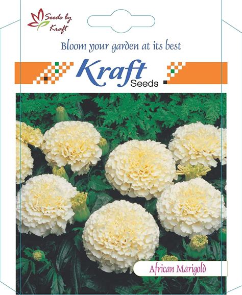 African Marigold F1 Hybrid Inca Type Flower Seeds Pack Of 5 By Kraft Seeds Angan