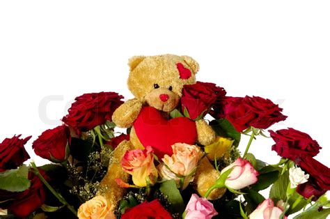 Teddy bear and roses | Stock image | Colourbox