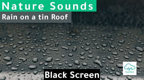 Rain On A Tin Roof No Thunder Black Screen Rain Sounds On Thunder Asmr