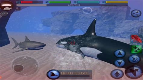 Orca The Killer Whale Vs Shark Blue Whale Ultimate Ocean Simulator