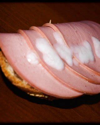 Cum On Food Porn Pictures Xxx Photos Sex Images Pictoa