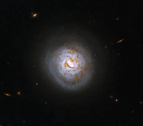 Hubble Space Telescope Gazes at Beautiful Spiral Galaxy | Sci.News