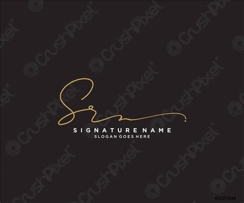 Letter Sr Signature Logo Template Vector Stock Vector 3021044