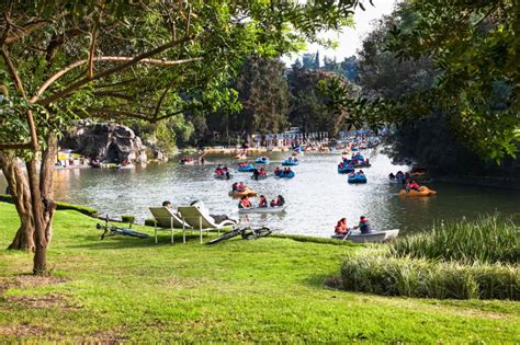 Lagoalgo El Nuevo Museo Y Espacio Cultural De Bosque De Chapultepec