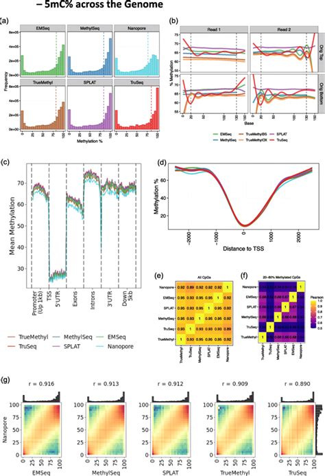 Estimates of methylation per CpG across the genome for HG002. All ... 