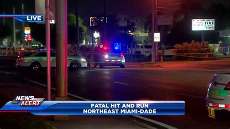 Woman Fatally Struck By Hit And Run Driver In Ne Miami Dade Police Say