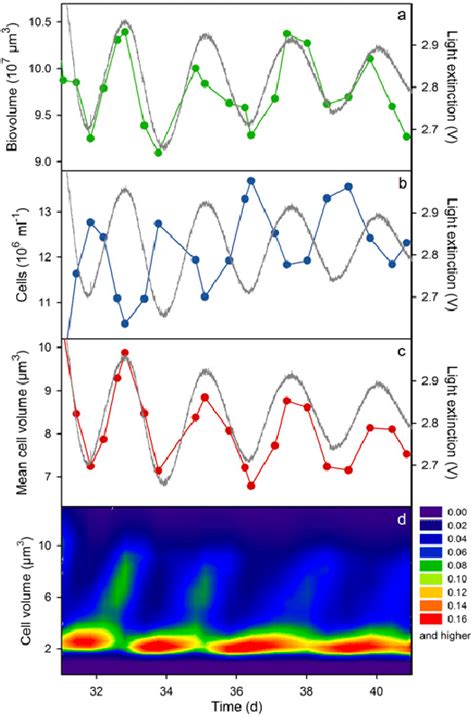 Fig S Oscillations Of A Algal Biovolume Green B Cell Density