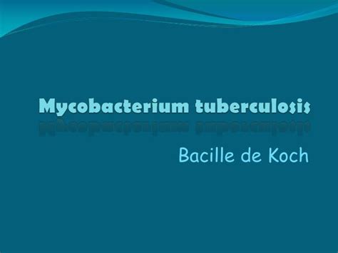 PPT - Mycobacterium tuberculosis PowerPoint Presentation, free download ... 