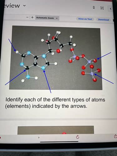 Organic Molecules Flashcards Quizlet