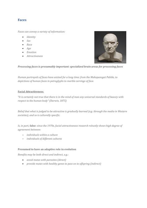 OPTO Faces Faces Faces Can Convey A Variety Of Information Identity Sex Race Age