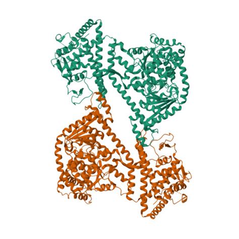 RCSB PDB 1NL3 CRYSTAL STRUCTURE OF THE SECA PROTEIN TRANSLOCATION